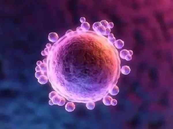 西安无痛人流手术费