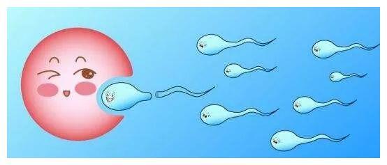 蓝梦孕知早孕试纸