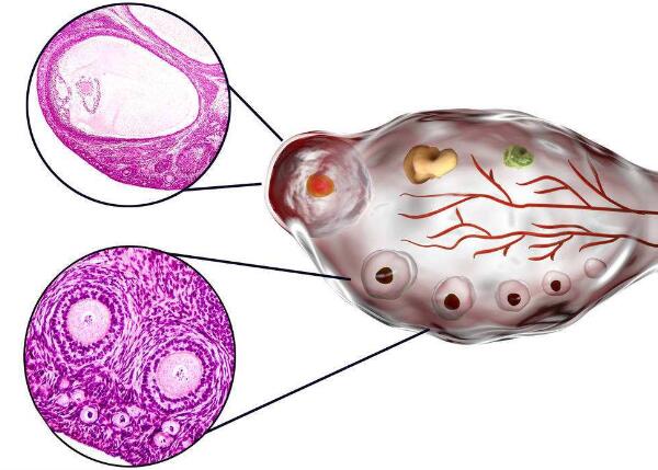 血糖正常值范围