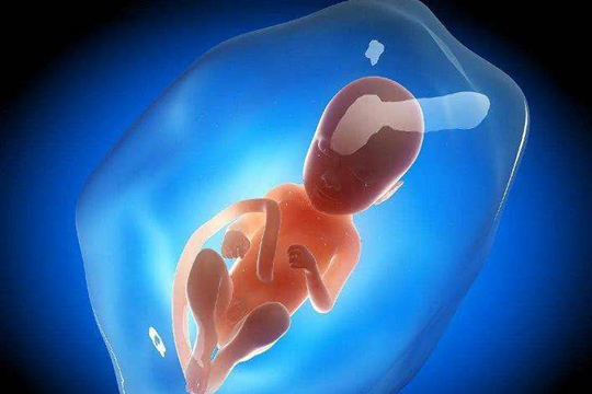 西尔斯健康育儿百科