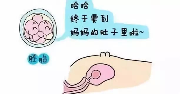 衣裳的裳的读音