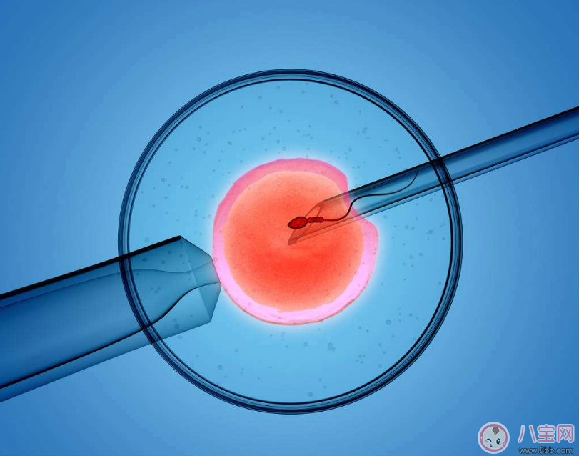 被爸爸疼爱的女儿