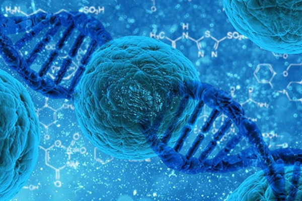 西安免费孕前检查