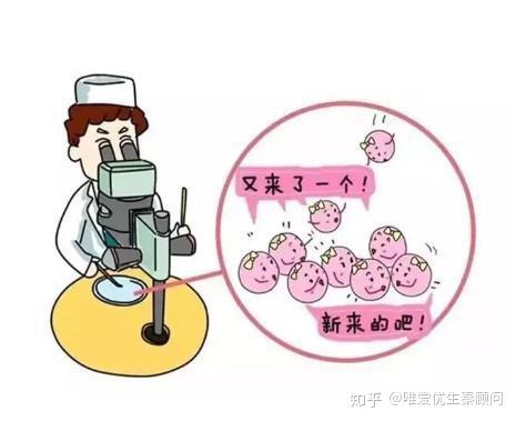 试管测预产期计算器