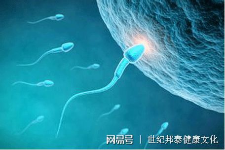 西安妇幼保健院