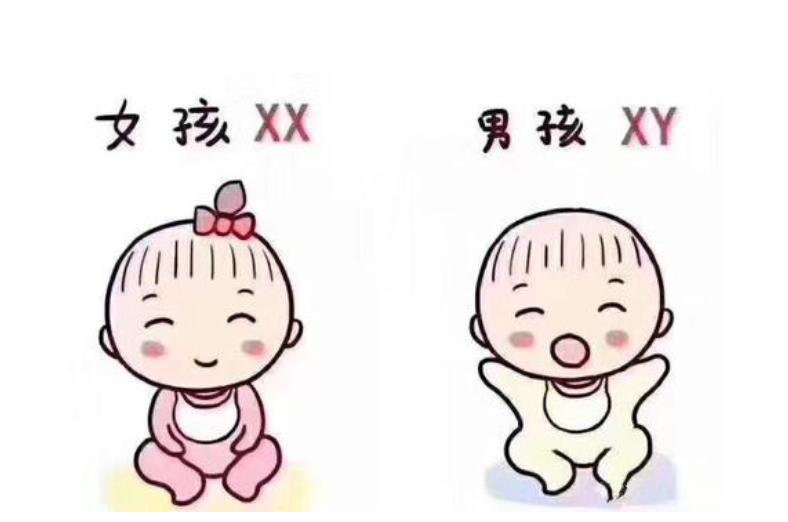 试管婴儿