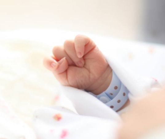 视频素材下载免费无水印