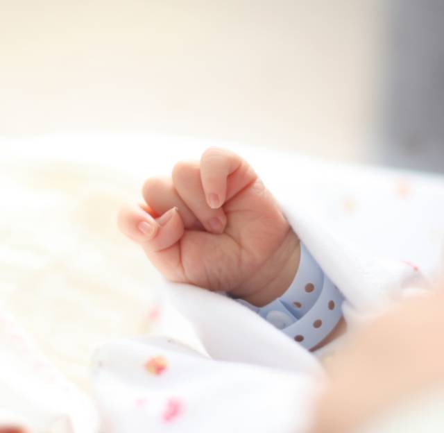 薮怎么读音是什么意思