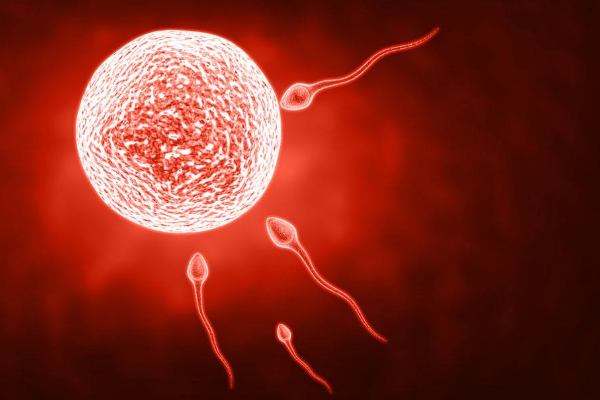 衡阳 分娩阵痛 体验 机构