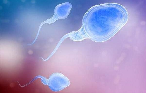 被爸爸疼爱的女儿