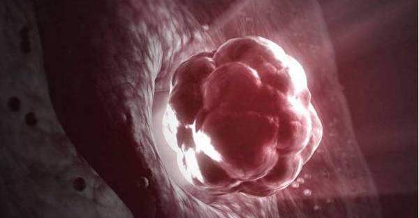 行房过后多久会怀孕