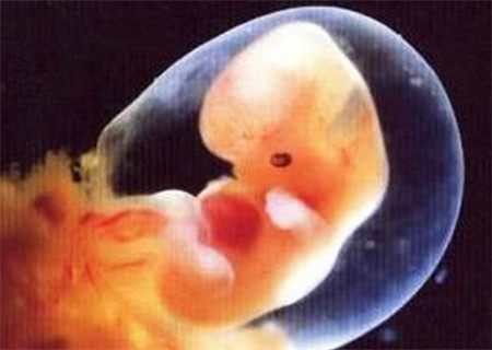 计算出生到现在几个月了