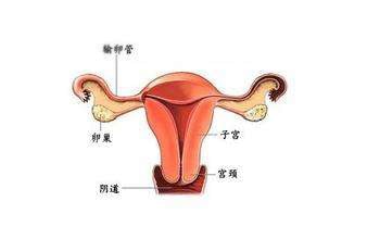 西安无痛人流手术