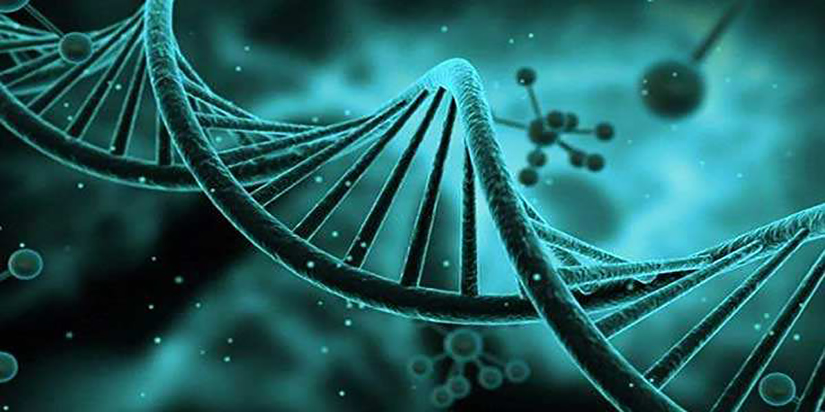 行房过后多久知道怀没怀孕