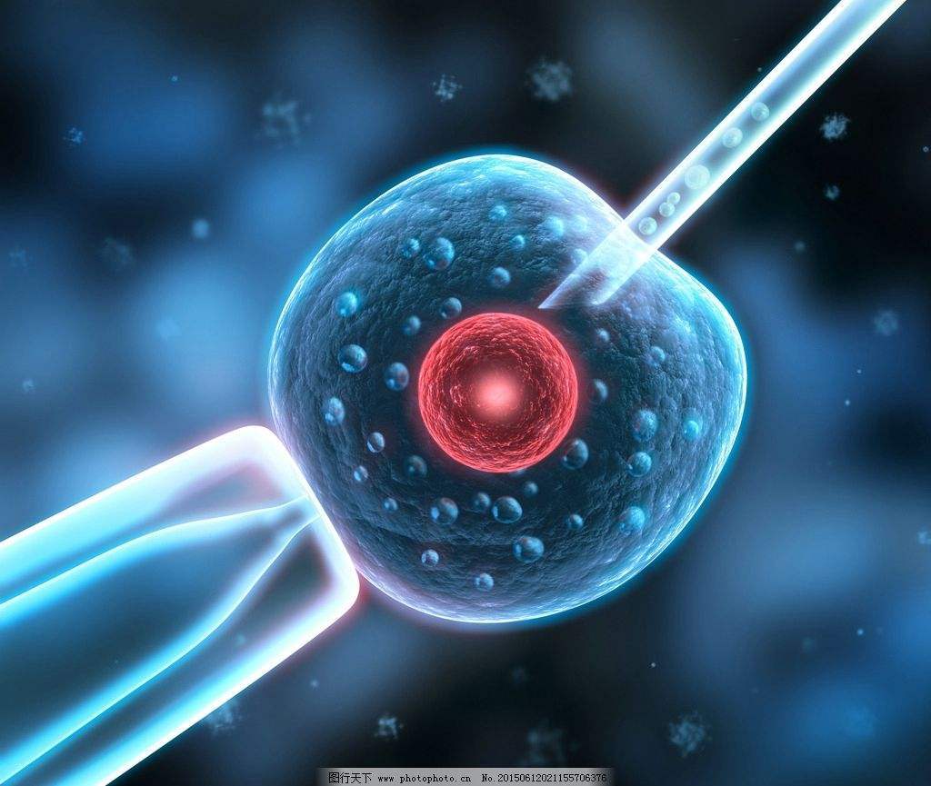 潍坊试管婴儿价格