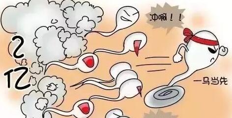 潍坊试管婴儿价格