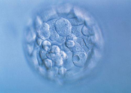 潍坊妇科医院咨询