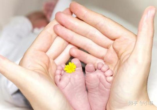 潍坊试管婴儿双胞胎