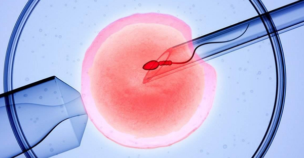 潍坊试管婴儿技术