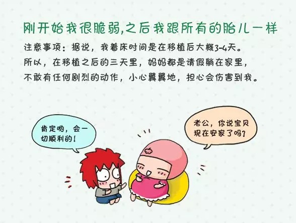 潍坊试管婴儿价格