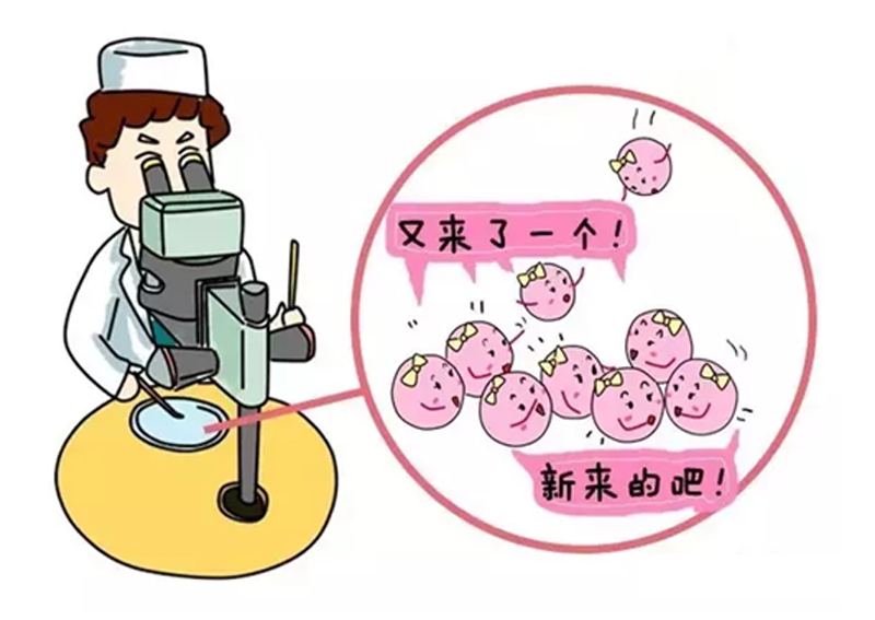 潍坊试管婴儿双胞胎